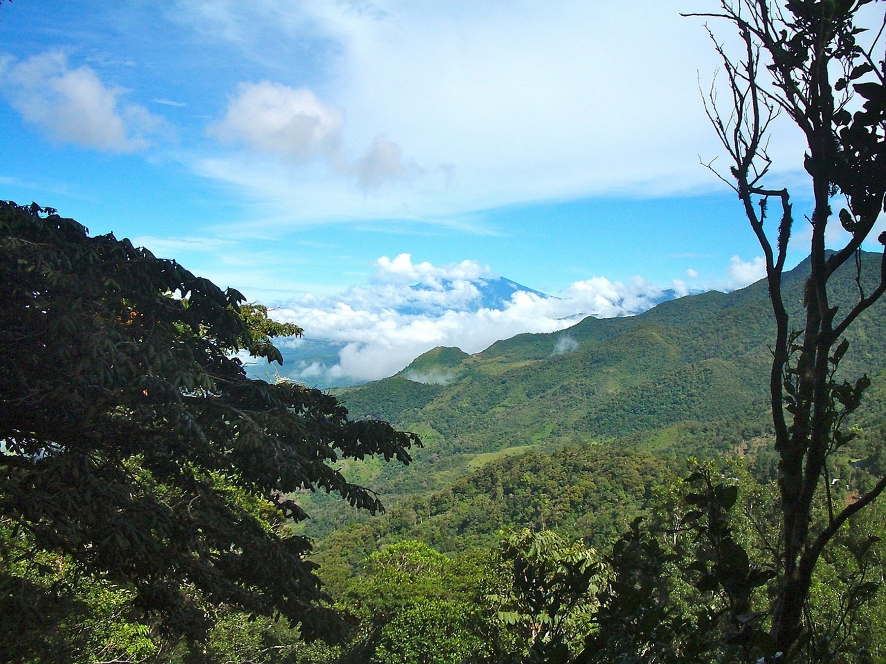 Image00011